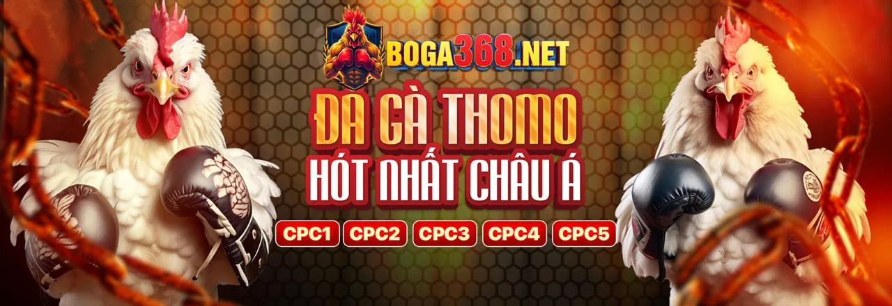 Dịch vụ hỗ trợ VIP 24/7 tại PK8998