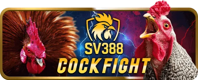 Video Slot